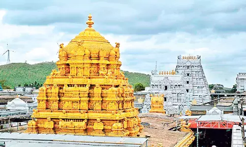 तिरुमाला: VIP आवास कक्ष केवल श्रीवारी दर्शन टिकट के साथ उपलब्ध