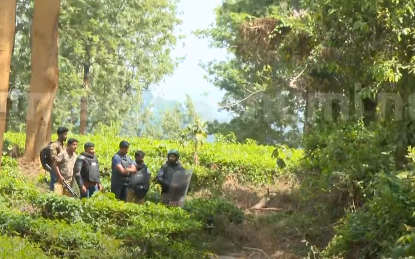 Kerala : वायनाड के मेप्पाडी में बाड़ के ऊपर फंसे बाघ को शांत किया गया