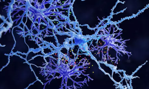 Scientists ने पहले कभी न देखी गई मस्तिष्क कोशिका की खोज की Scientists ने पहले कभी न देखी गई मस्तिष्क कोशिका की खोज की