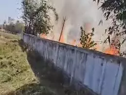 Bihar : तार टूटकर गिरने से कब्रिस्तान में लगी आग Bihar : तार टूटकर गिरने से कब्रिस्तान में लगी आग