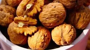 Walnut benefits: भीगे हुए अखरोट खाने से शरीर को मिलते हैं जबरदस्त फायदे Walnut benefits: भीगे हुए अखरोट खाने से शरीर को मिलते हैं जबरदस्त फायदे