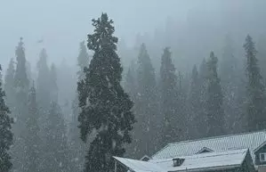 Jammu and Kashmir में बारिश के साथ कश्मीर के ऊपरी इलाकों में बर्फबारी Jammu and Kashmir में बारिश के साथ कश्मीर के ऊपरी इलाकों में बर्फबारी