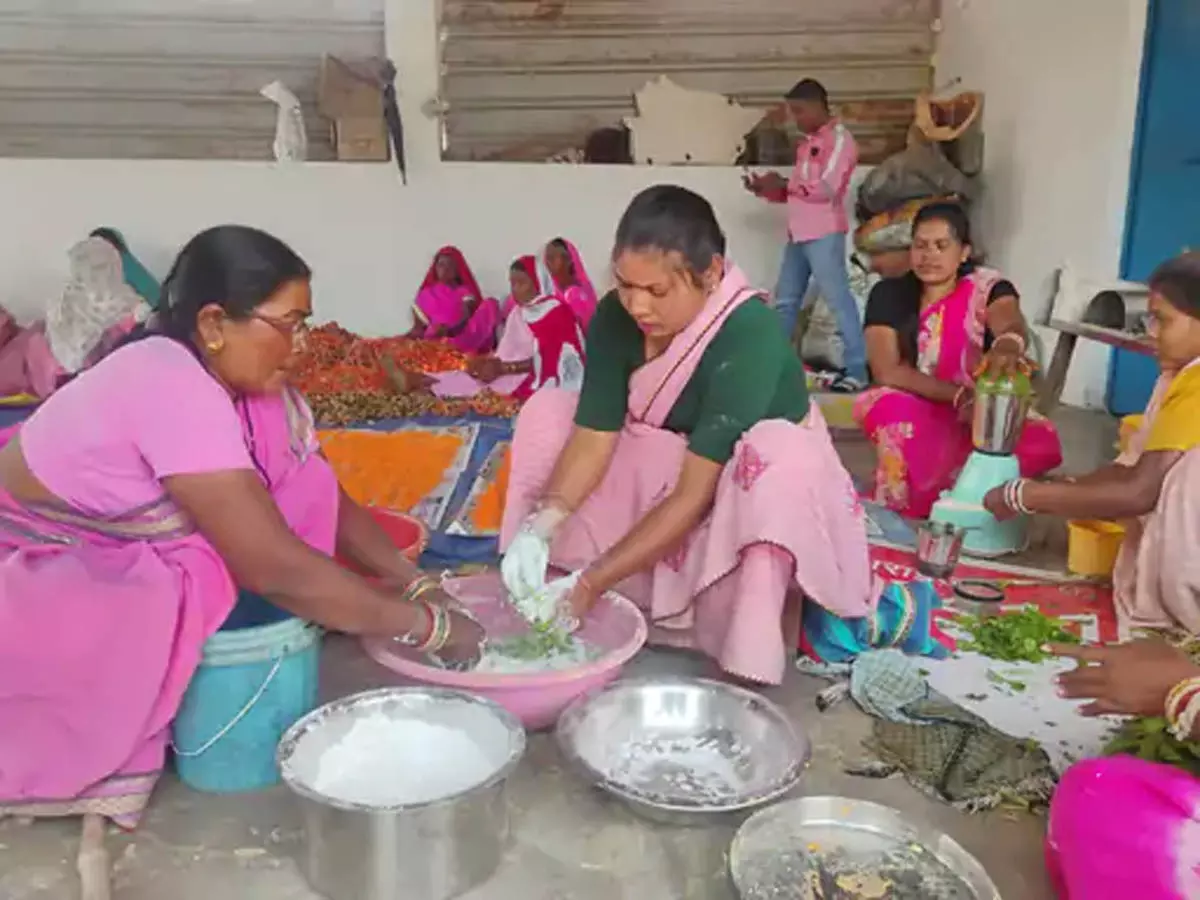 हर्बल गुलाल बनाने वाली महिलाओं को 3 क्विंटल रंग का मिला ऑर्डर हर्बल गुलाल बनाने वाली महिलाओं को 3 क्विंटल रंग का मिला ऑर्डर