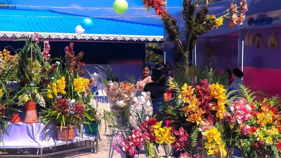 Sikkim : भारतीय आर्किड महोत्सव में पाकयोंग में खेती, कानूनी जागरूकता और उद्योग सहयोग Sikkim : भारतीय आर्किड महोत्सव में पाकयोंग में खेती, कानूनी जागरूकता और उद्योग सहयोग