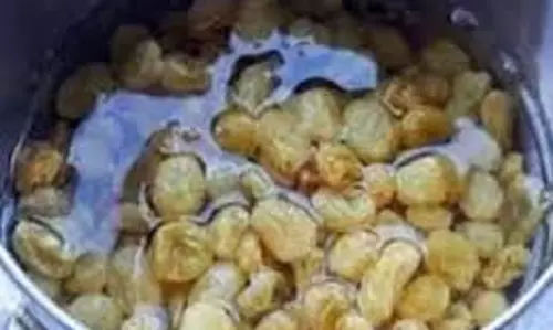 Health: भीगे हुए किशमिश खाएं, हमेशा स्वस्थ रहें