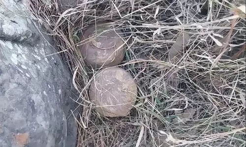 जम्मू-कश्मीर के सांबा में जंग लगी एंटी टैंक माइन मिली