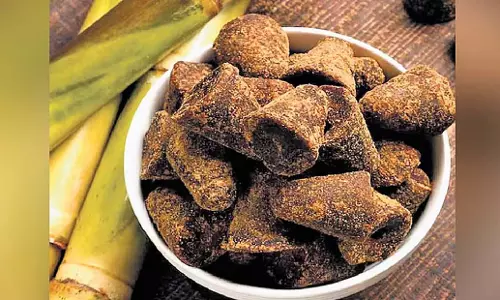 Kerala: विकेन्द्रीकृत गुड़ प्रसंस्करण इकाई से किसानों को उम्मीद Kerala: विकेन्द्रीकृत गुड़ प्रसंस्करण इकाई से किसानों को उम्मीद