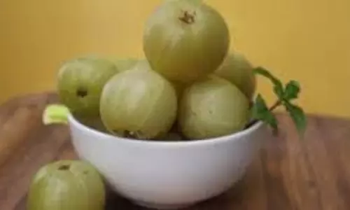 Hair Care: बालों में आंवला लगाते समय ध्यान रखें ये 3 बातें, वरना हो सकता है नुकसान