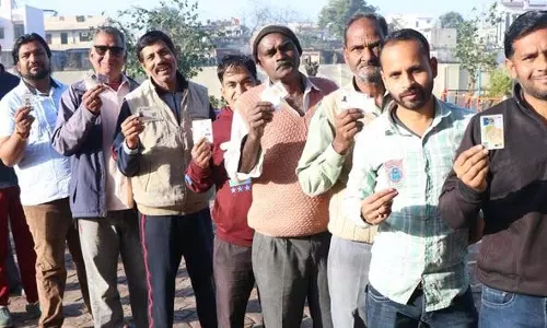 राज्यभर में नगर निकाय चुनाव में 50% मतदान