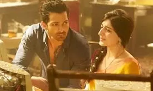 Sanam Teri Kasam: जानिए पाक एक्ट्रेस ने फिल्म की सफलता पर क्या कहा