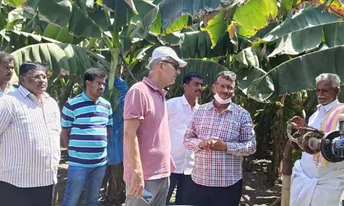 Andhra: केले के निर्यात के लिए यूरोपीय फर्म के प्रतिनिधि ने अनंतपुर का दौरा किया Andhra: केले के निर्यात के लिए यूरोपीय फर्म के प्रतिनिधि ने अनंतपुर का दौरा किया