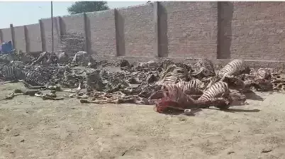 Gonda: ग्रामीणों ने चमड़ा फैक्ट्री की दुर्गंध से परेशान होकर किया हंगामा Gonda: ग्रामीणों ने चमड़ा फैक्ट्री की दुर्गंध से परेशान होकर किया हंगामा