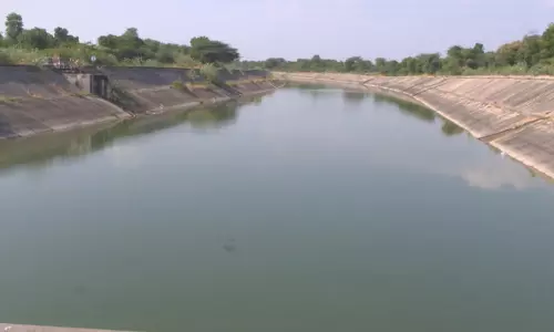 15 March से नर्मदा नहर में पानी बंद करने की घोषणा, किसानों की चिंता बढ़ी