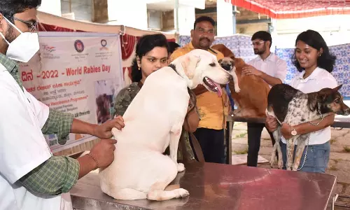 Karnataka में इस साल दो महीनों में रेबीज से आठ मौतें हुईं
