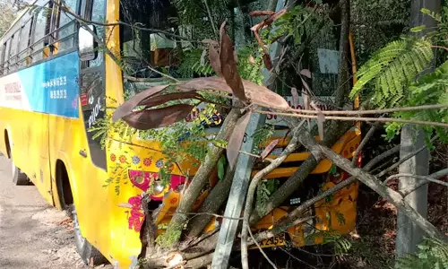 Andhra: अन्नवरम घाट रोड पर शादी पार्टी बस के ब्रेक फेल