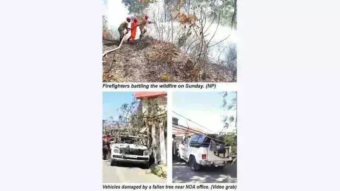 Nagaland : कोहिमा में जंगल की आग, नगालैंड में तूफान ने मचाई तबाही