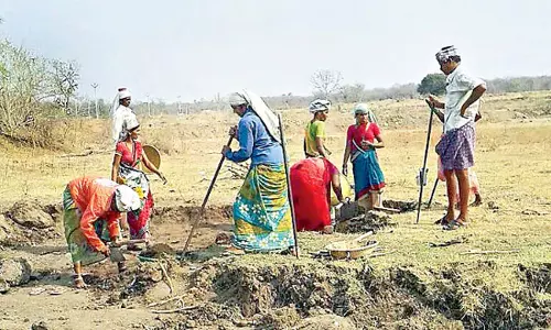 Andhra: रोजगार अनियमितताएं 230 करोड़ रुपये की