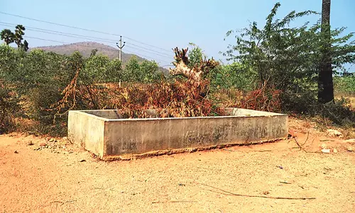 Andhra: गर्मियों में चरने जाने वाले पशुओं को पानी नहीं मिल पाता