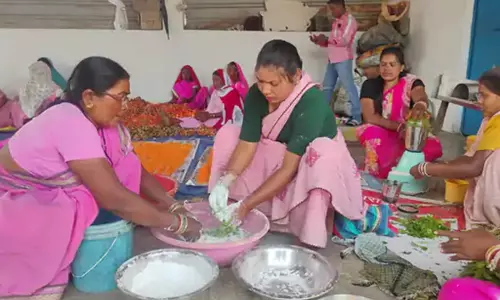 हर्बल गुलाल बनाने वाली महिलाओं को 3 क्विंटल रंग का मिला ऑर्डर
