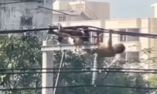 बिजली के तारों पर पुल-अप करता दिखा शख्स, लोगों ने दातों तले दबा ली ऊँगली