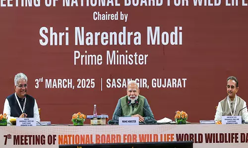 महत्वपूर्ण विचार-विमर्श...: गिर में राष्ट्रीय वन्यजीव बोर्ड की बैठक के बाद PM Modi महत्वपूर्ण विचार-विमर्श...: गिर में राष्ट्रीय वन्यजीव बोर्ड की बैठक के बाद PM Modi