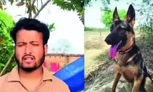 MP: बाघ के हमले से मालिक को बचाते हुए पालतू कुत्ते की मौत