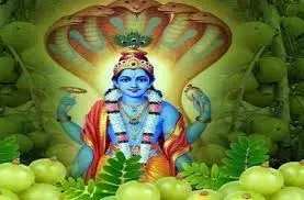 Amalaki Ekadashi 2025: आमलकी एकादशी के दिन इस उपाय से पाएं श्री हरि की कृपा, दूर होंगे सभी कष्ट Amalaki Ekadashi 2025: आमलकी एकादशी के दिन इस उपाय से पाएं श्री हरि की कृपा, दूर होंगे सभी कष्ट