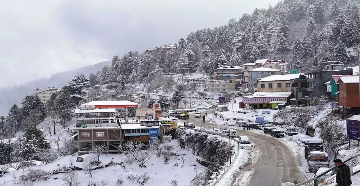 Himachal: कुफरी में नगण्य बर्फबारी देखी गई Himachal: कुफरी में नगण्य बर्फबारी देखी गई
