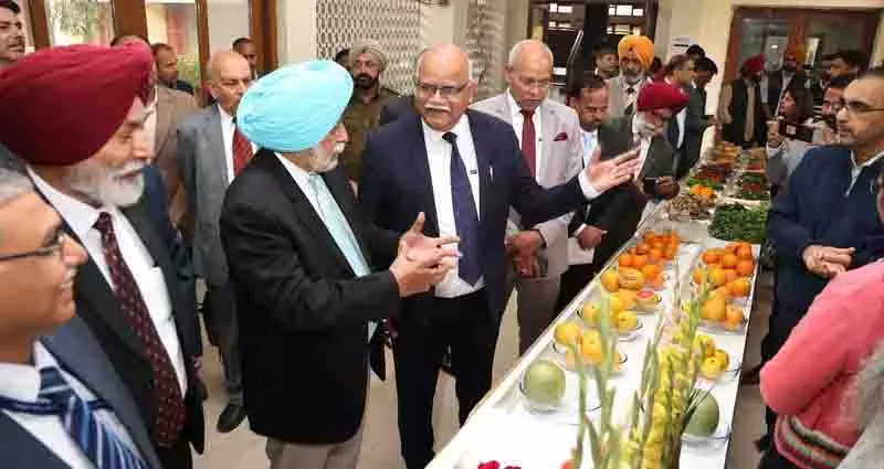 Ludhiana: विशेषज्ञ ने कहा- सब्जी की फसलें खाद्य और पोषण सुरक्षा सुनिश्चित करेंगी Ludhiana: विशेषज्ञ ने कहा- सब्जी की फसलें खाद्य और पोषण सुरक्षा सुनिश्चित करेंगी