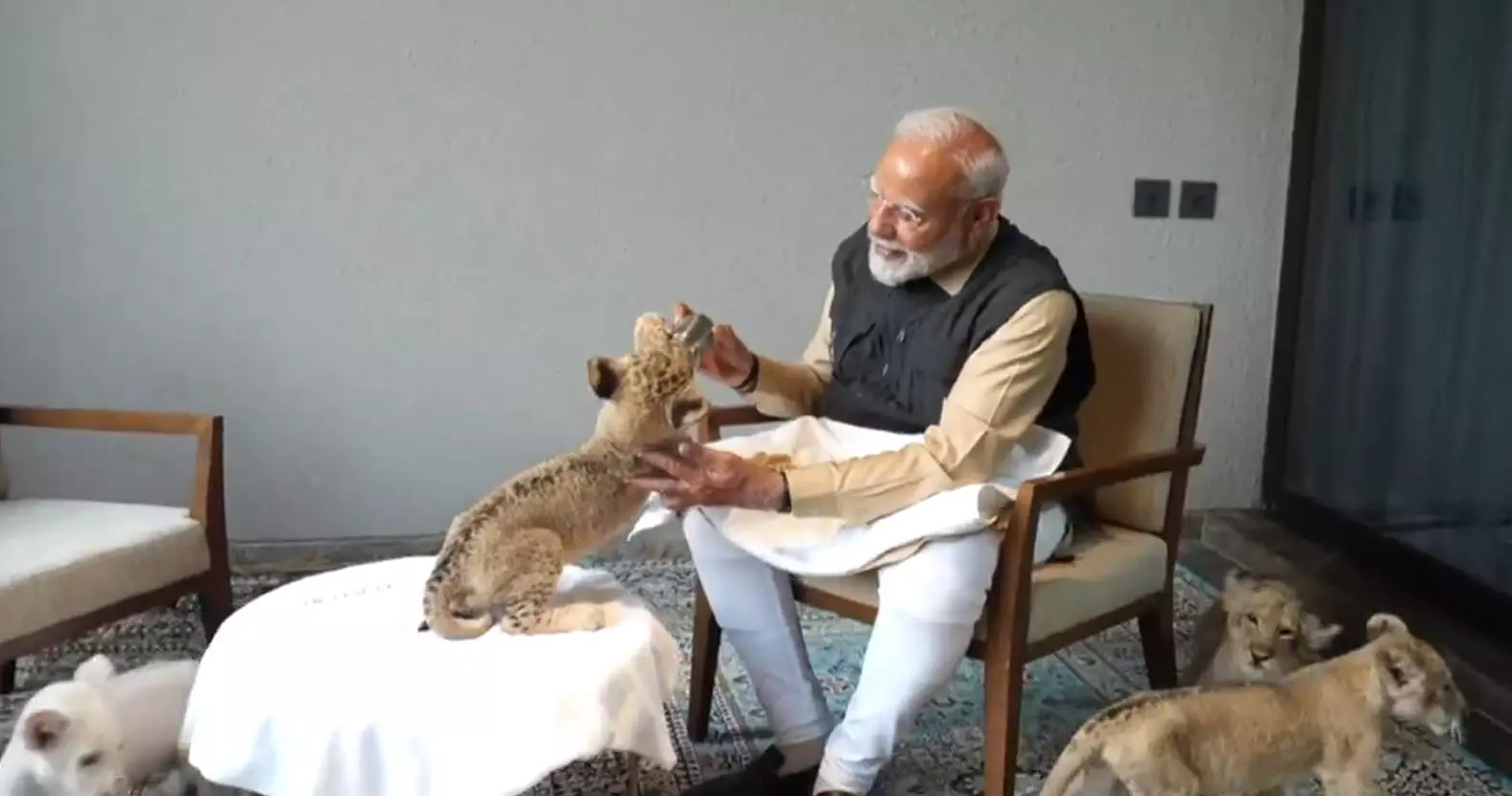 प्रधानमंत्री नरेंद्र मोदी का VIDEO, शेर के शावक को दुलारते कैमरे में कैद प्रधानमंत्री नरेंद्र मोदी का VIDEO, शेर के शावक को दुलारते कैमरे में कैद
