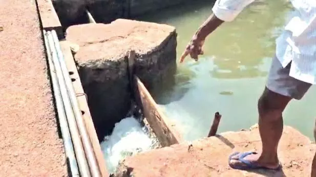 Kundaim के किसान ने मछली पकड़ने के लिए धान के खेत को अवैध रूप से जलमग्न करने का आरोप लगाया Kundaim के किसान ने मछली पकड़ने के लिए धान के खेत को अवैध रूप से जलमग्न करने का आरोप लगाया