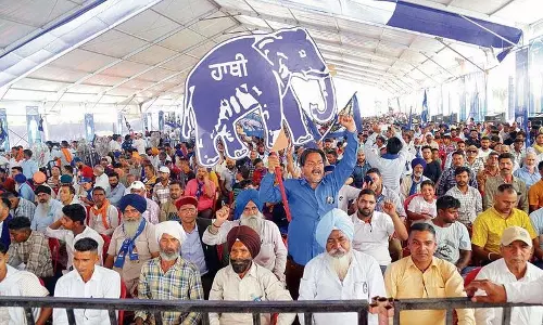 दलितों के बीच पैठ बनाने के लिए बसपा करेगी विशाल रैली
