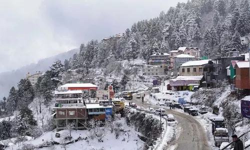 Shimla पिछले तीन वर्षों से कुफरी में नगण्य बर्फबारी हो रही