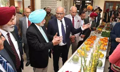 Ludhiana: विशेषज्ञ ने कहा- सब्जी की फसलें खाद्य और पोषण सुरक्षा सुनिश्चित करेंगी