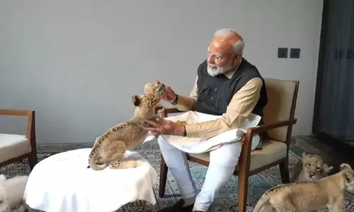 प्रधानमंत्री नरेंद्र मोदी का VIDEO, शेर के शावक को दुलारते कैमरे में कैद