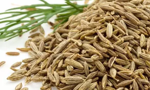 Health: जानिए जीरे के फायदे और नुकसान Health: जानिए जीरे के फायदे और नुकसान