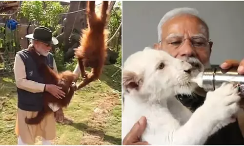 PM Modi ओरंगुटान शेर के बच्चे के साथ