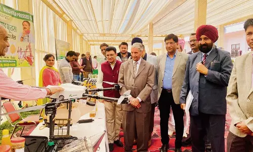 Haryana :  कीट प्रतिरोधी चावल की किस्मों के बीज दिए गए