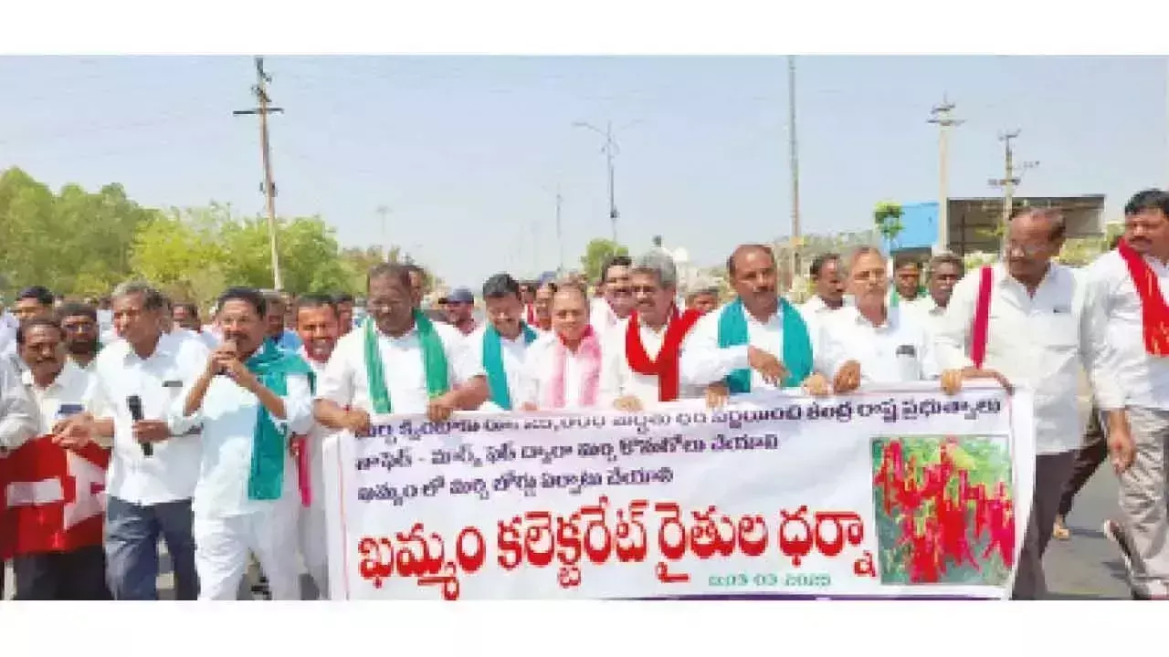 Telangana: मिर्च की गिरती कीमतों को लेकर किसानों ने किया धरना