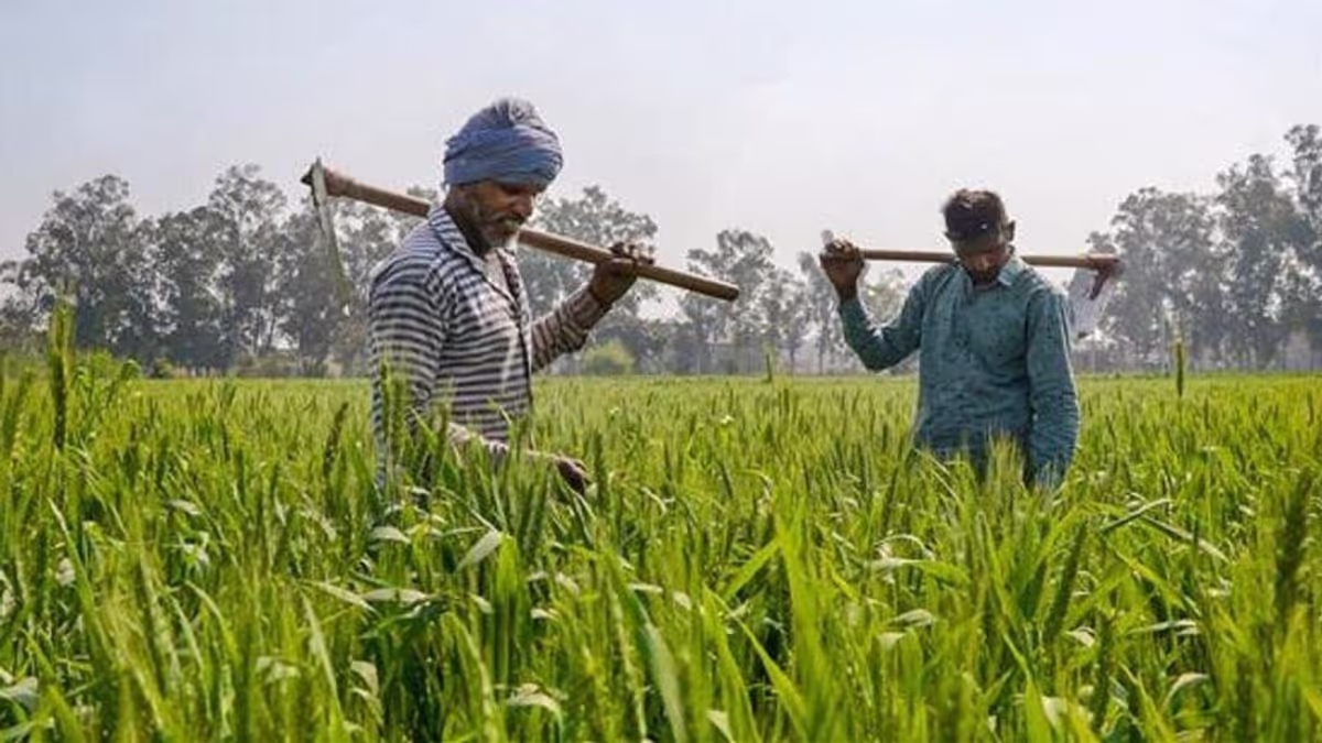 Alwar: जिले में एक लाख 12 हजार से अधिक किसानों की बनी फार्मर आईडी Alwar: जिले में एक लाख 12 हजार से अधिक किसानों की बनी फार्मर आईडी