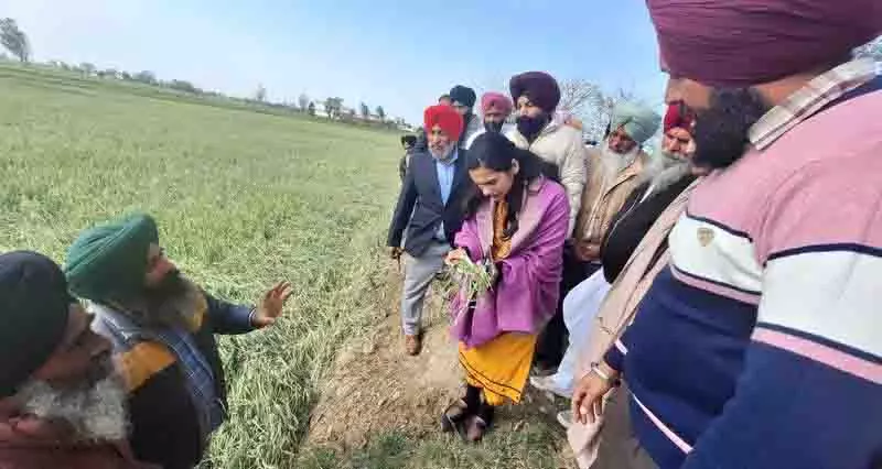 DC ने ओलावृष्टि से क्षतिग्रस्त फसल के लिए किसानों को राहत का आश्वासन दिया DC ने ओलावृष्टि से क्षतिग्रस्त फसल के लिए किसानों को राहत का आश्वासन दिया