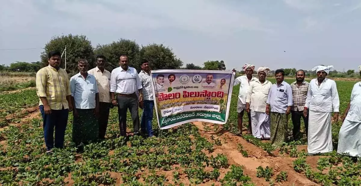 Andhra: देवनकोंडा में पोलंबडी कार्यक्रम आयोजित हुआ Andhra: देवनकोंडा में पोलंबडी कार्यक्रम आयोजित हुआ