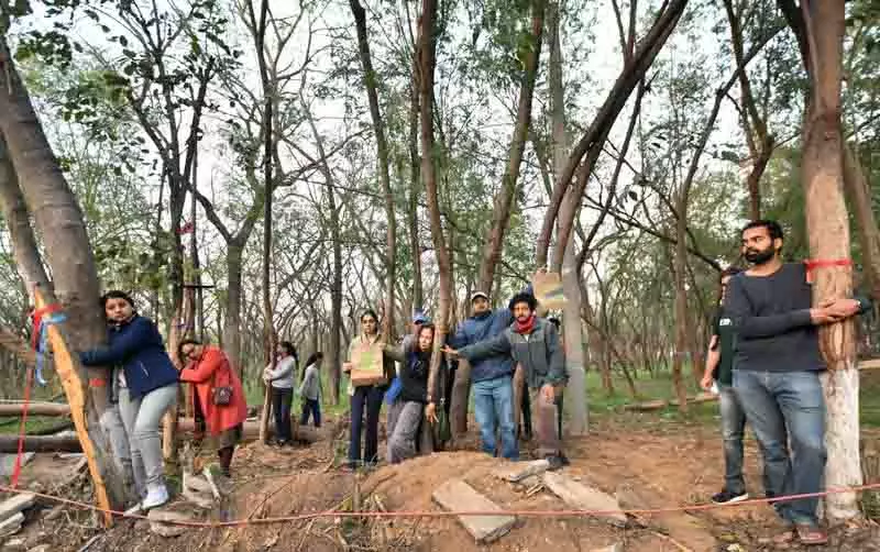 Chandigarh: रॉक गार्डन में हरियाली खत्म होने से निवासी नाराज Chandigarh: रॉक गार्डन में हरियाली खत्म होने से निवासी नाराज