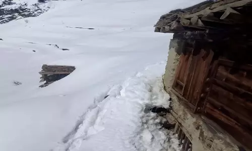 Himachal: बर्फबारी में फंसे पांगी के ग्रामीणों ने सरकार से राहत की गुहार लगाई Himachal: बर्फबारी में फंसे पांगी के ग्रामीणों ने सरकार से राहत की गुहार लगाई