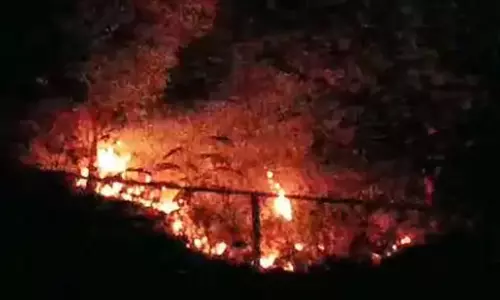 रामपुर पहाड़ आग की चपेट में, वन्य प्राणी को नुकसान