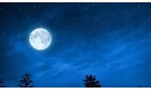 Falgun Purnima 2025: फाल्गुन पूर्णिमा पर पितरों की शांति के लिए करें ये उपाय, मिलेगा पितरों का आशीर्वाद Falgun Purnima 2025: फाल्गुन पूर्णिमा पर पितरों की शांति के लिए करें ये उपाय, मिलेगा पितरों का आशीर्वाद