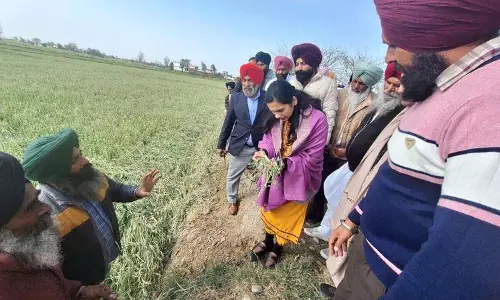 डीसी ने ओलावृष्टि से क्षतिग्रस्त फसल के लिए किसानों को राहत का आश्वासन दिया