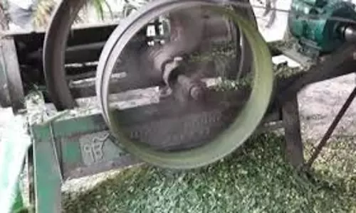 Bihar : खेल रही बच्ची आटा चक्की में फंसी, सिर धड़ से अलग