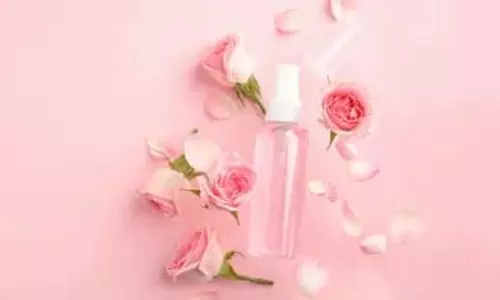 Toner DIY: रूखी त्वचा के लिए घर पर ऐसे बनाएं टोनर