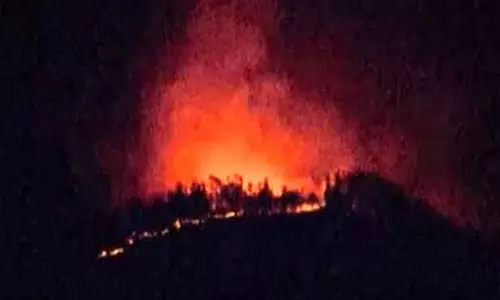 Japan में भीषण जंगल की आग फैल रही है, जिससे और अधिक घरों को खतरा है